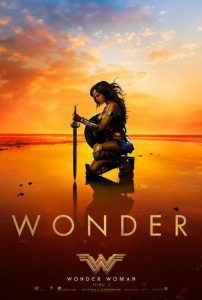 Inicios Wonder Woman Cartel