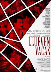 llueven vacas