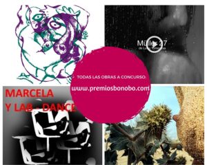 IV Premios Bonobo