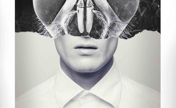 edición terrormolins