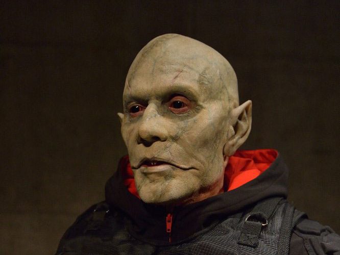 tercera the strain