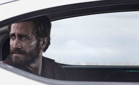 tráiler animales nocturnos