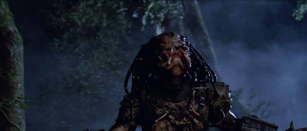 imagen predator