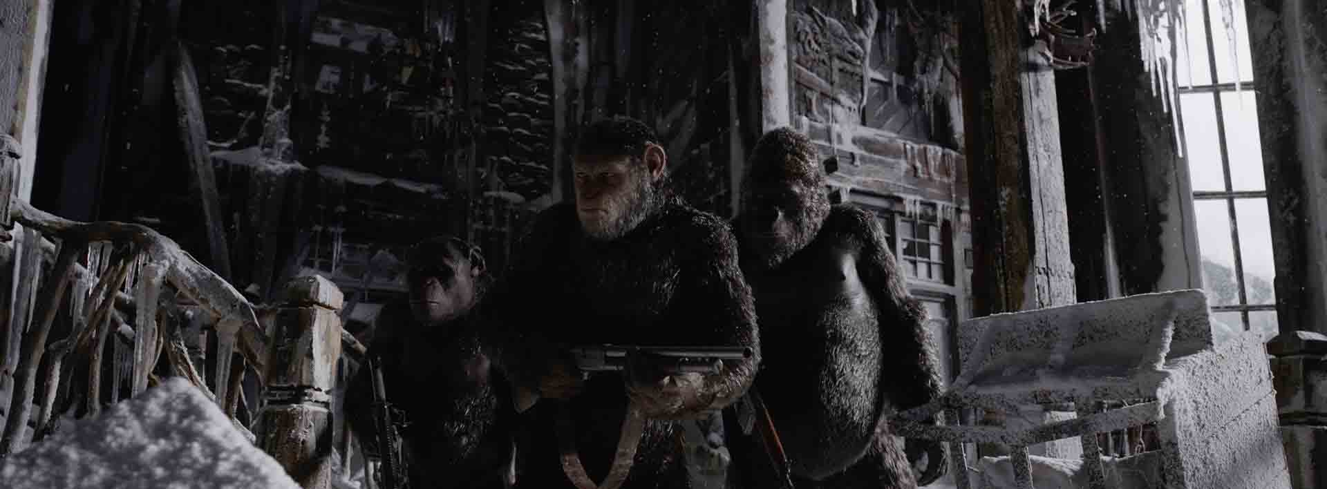 Guerra Planeta Simios