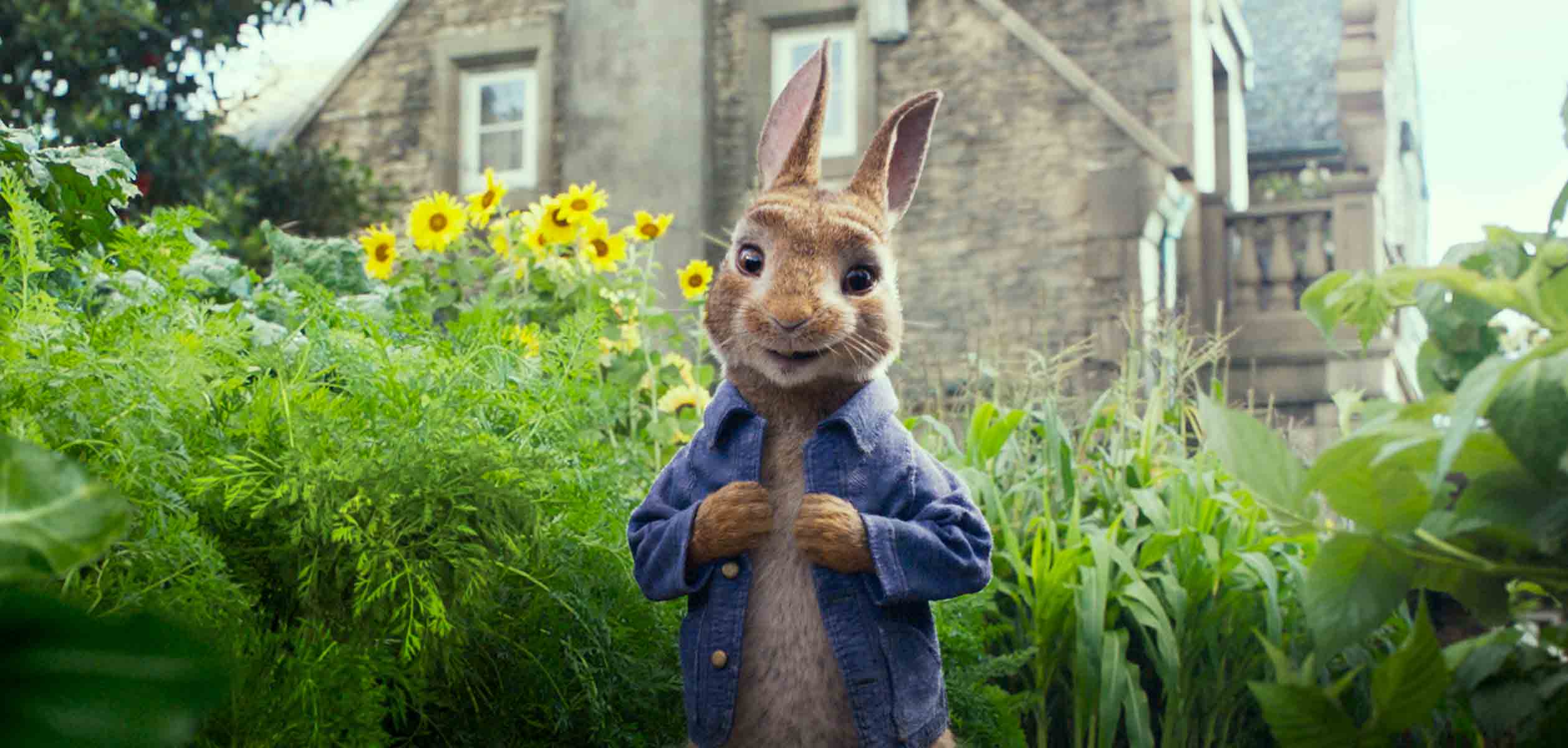segundo tráiler Peter Rabbit