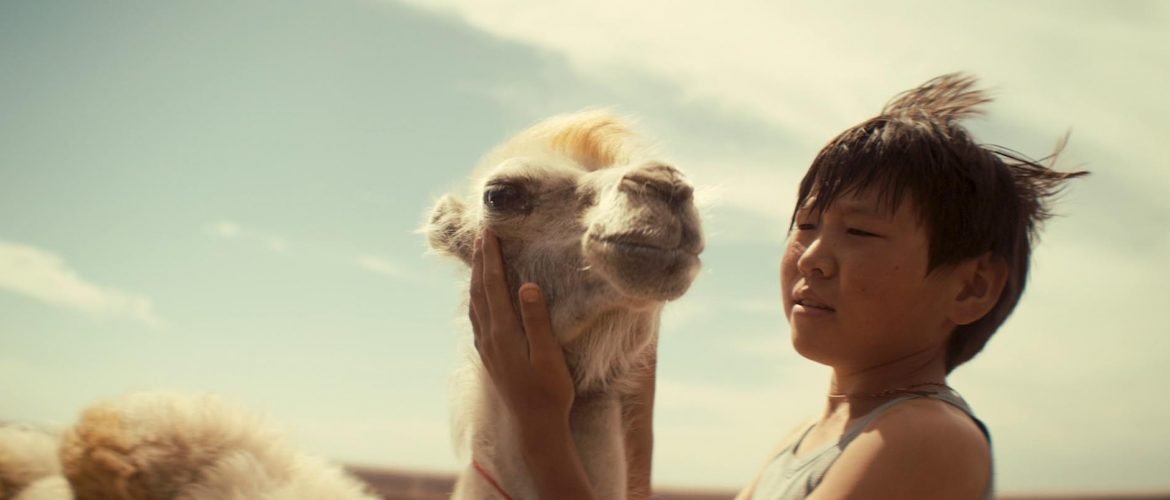 Celestial Camel Jury Feting