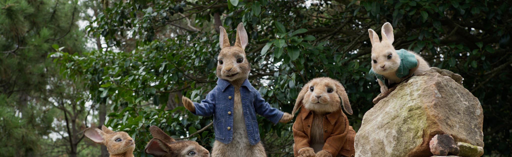 Dani Rovira, Belén Cuesta y Silvia Abril ponen sus voces en ‘Peter Rabbit’
