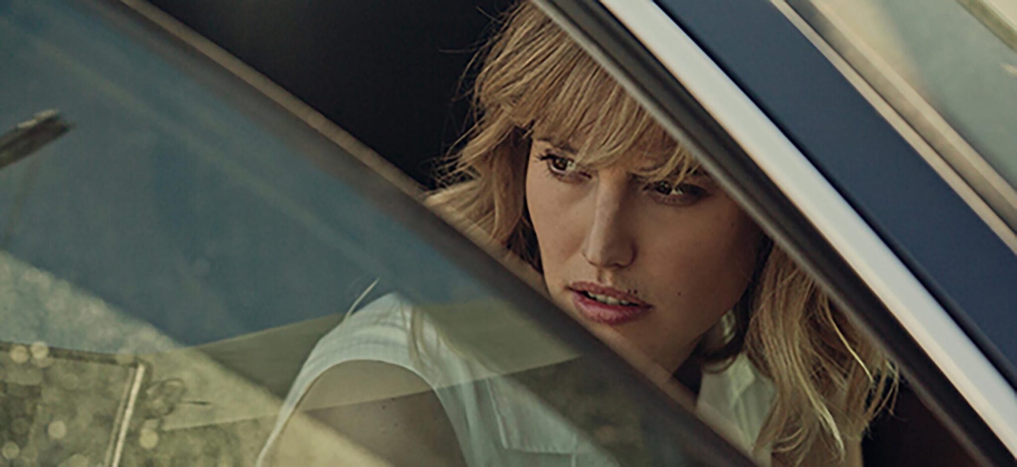 tráiler animales sin collar