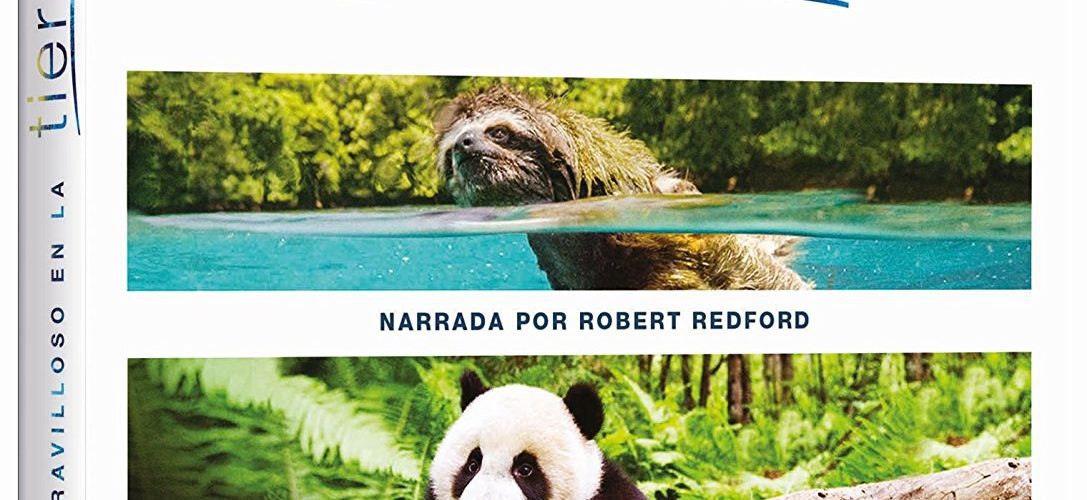 Un día maravilloso tierra
