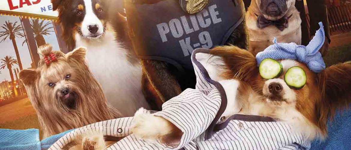 superagente canino junio