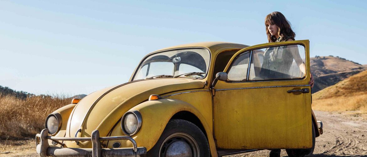 teaser bumblebee