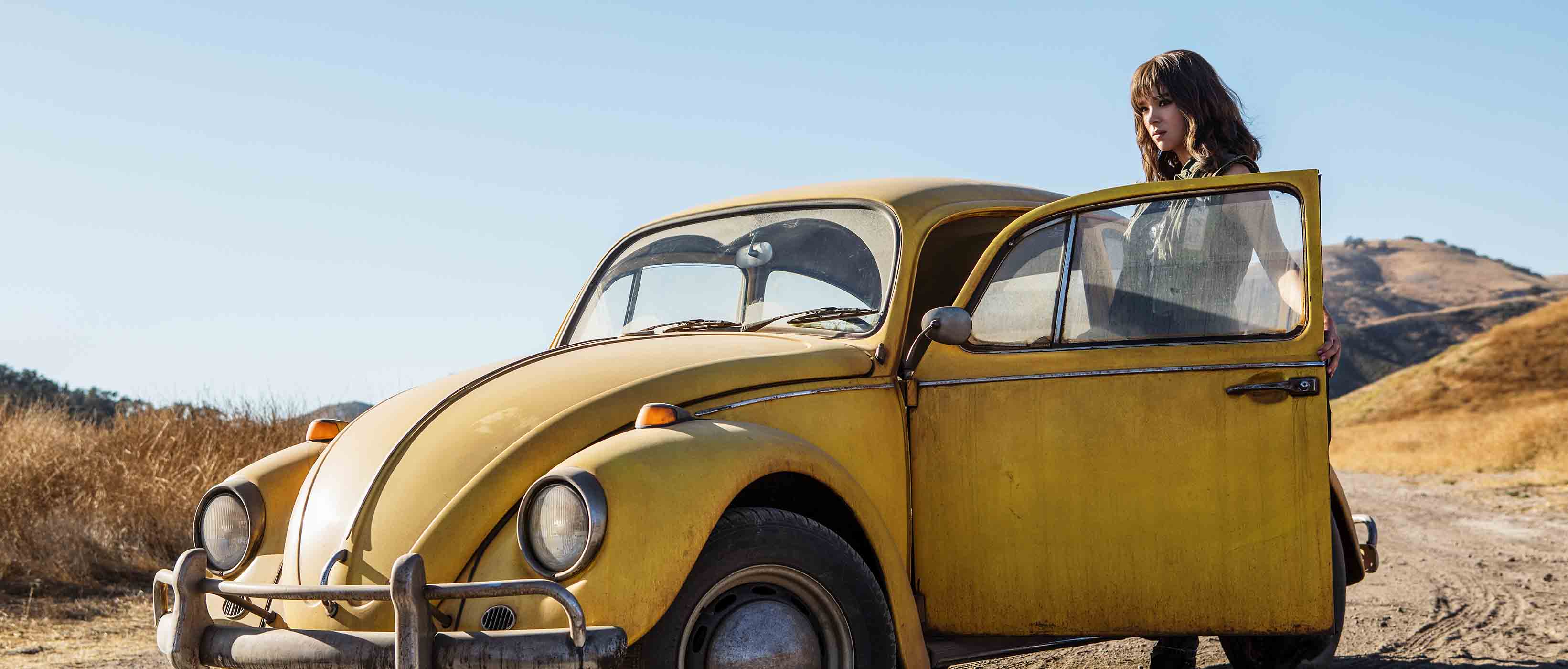 teaser bumblebee