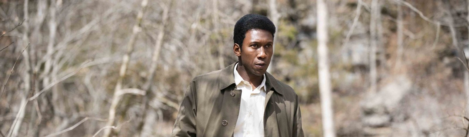 vídeo true detective