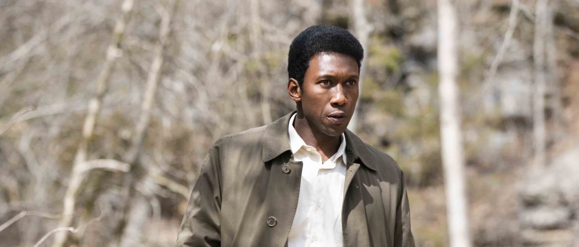 vídeo true detective