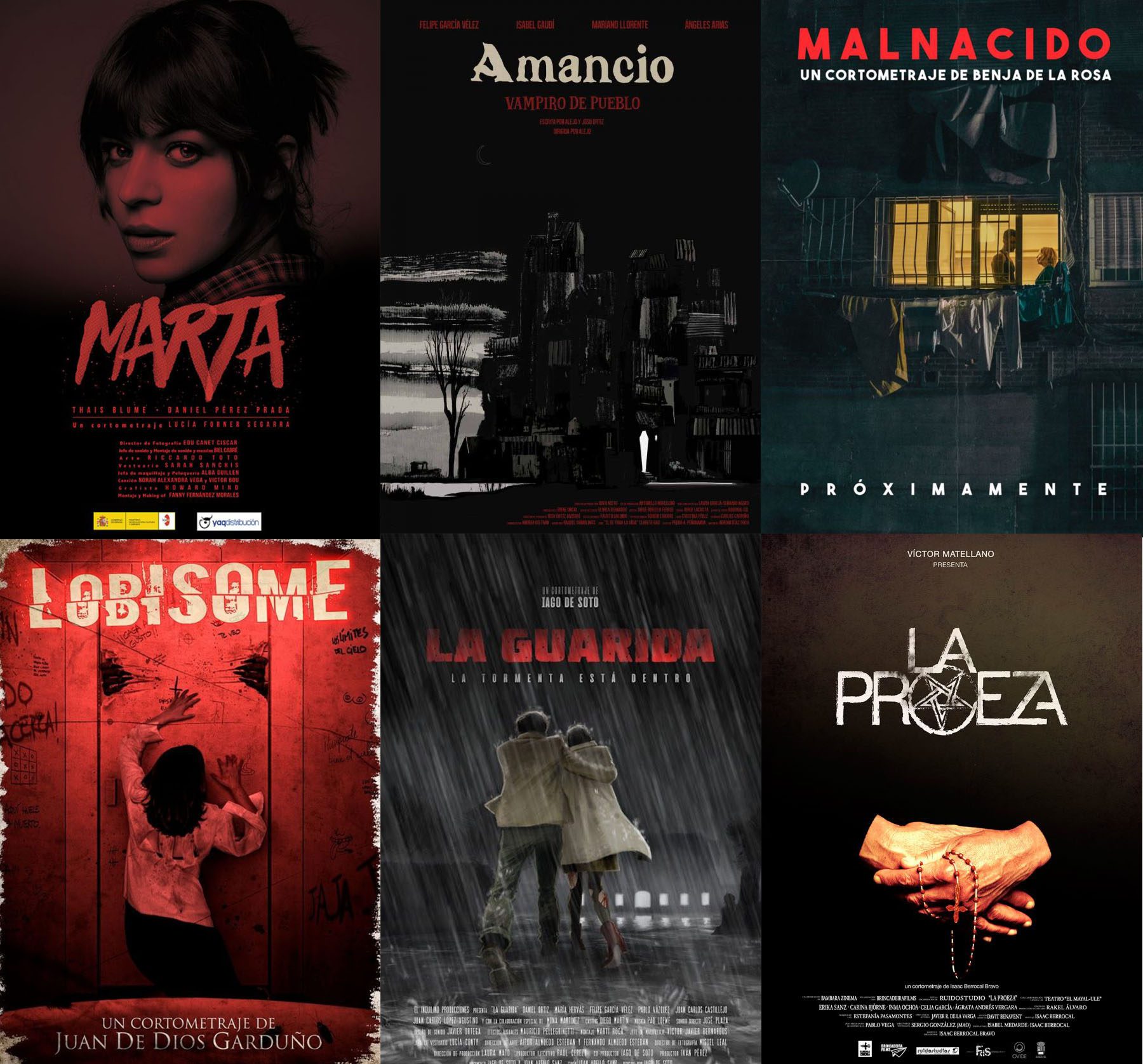 Nocturna 2