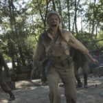 imágenes malnazidos