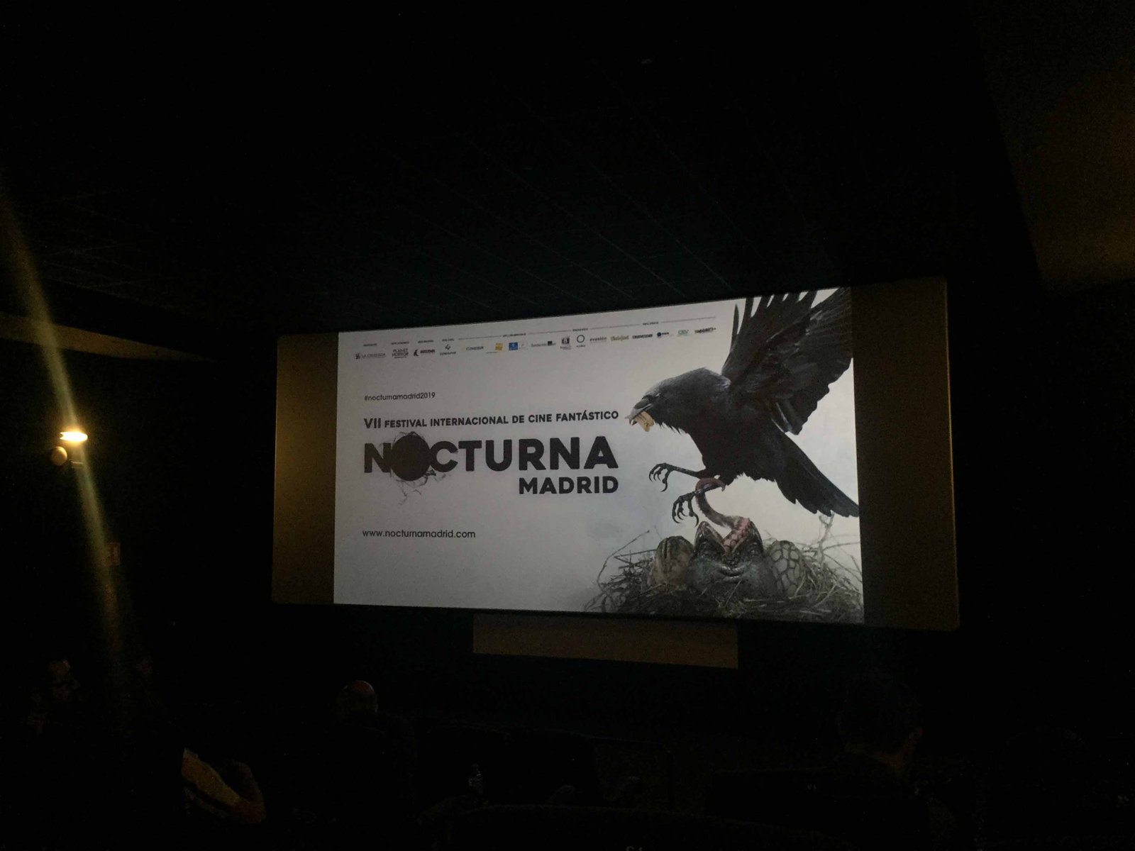 Nocturna 24