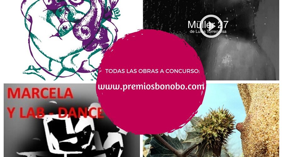 IV Premios Bonobo