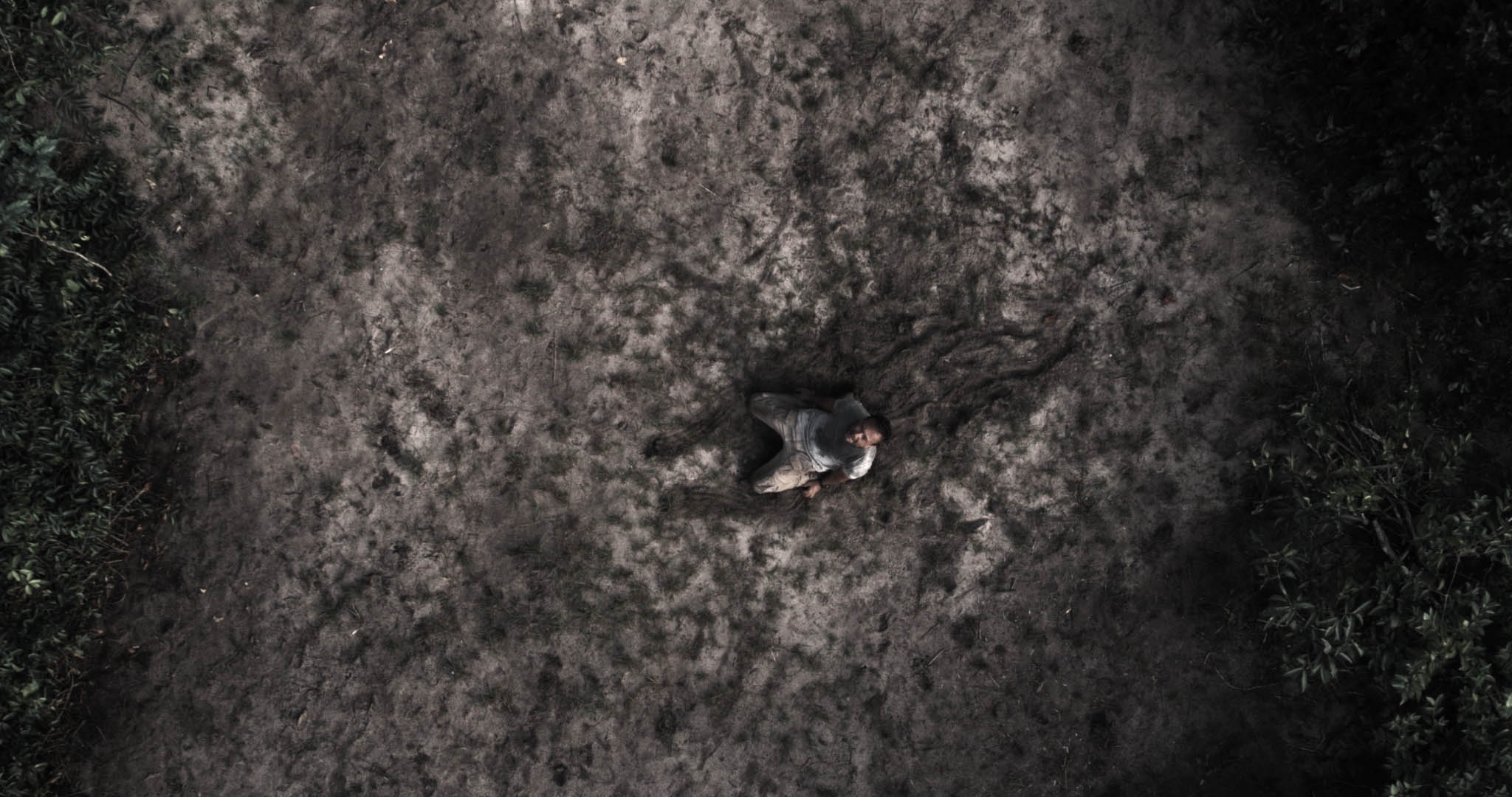 urubú-crítica-1