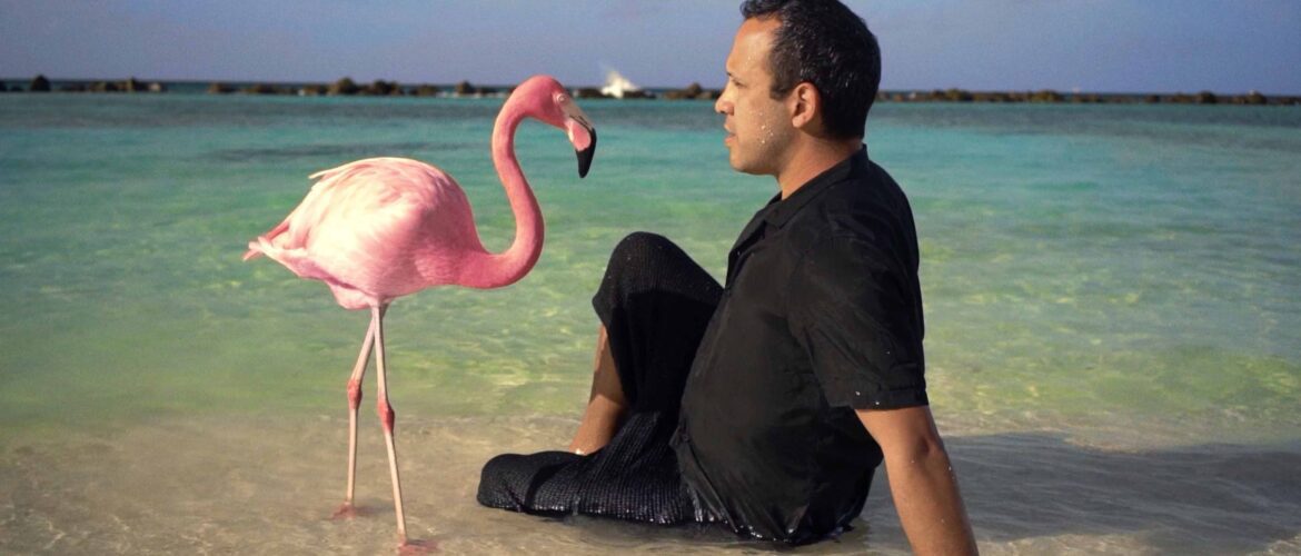 The Mystery of the Pink Flaming