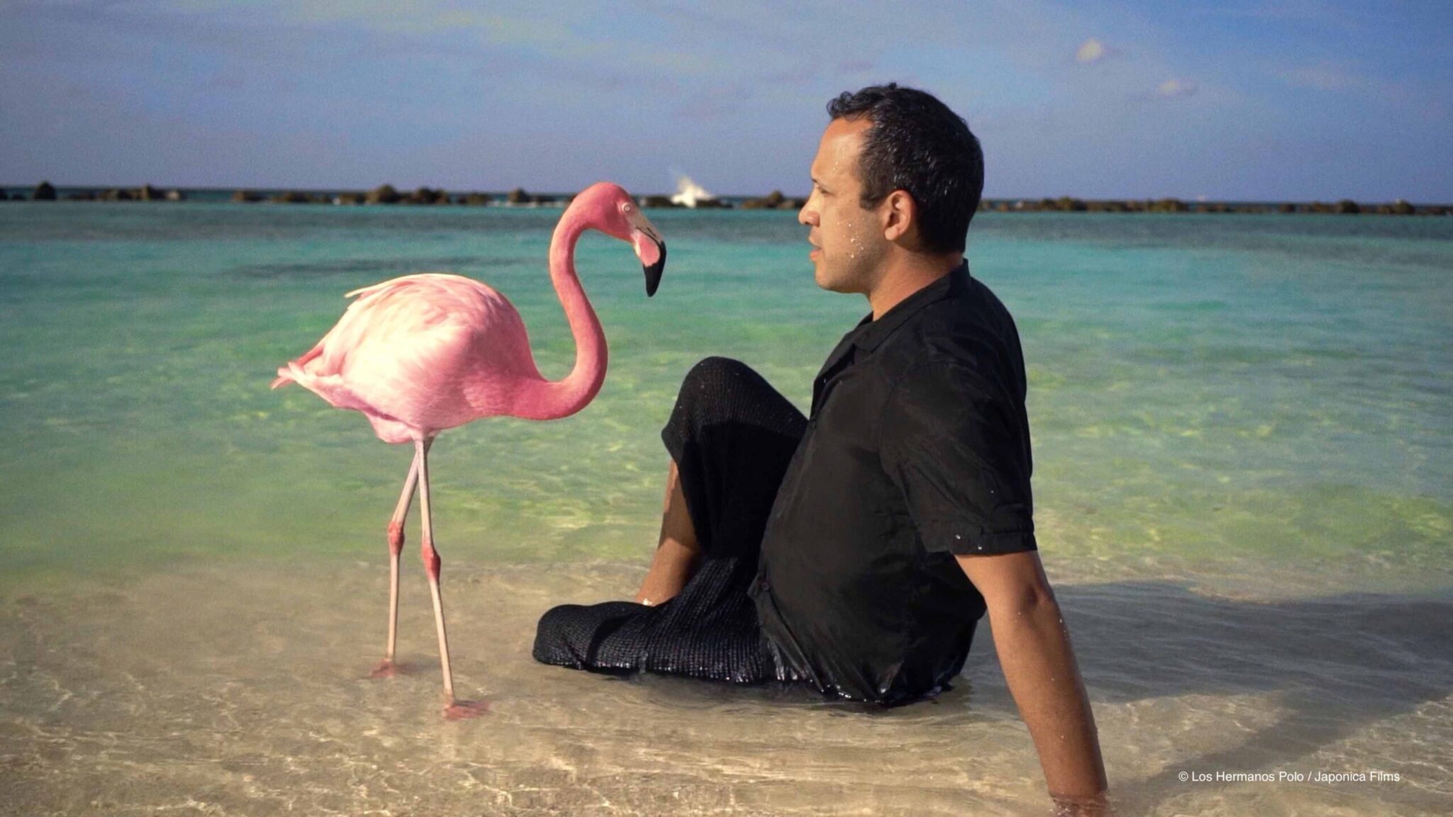 The Mystery of the Pink Flaming