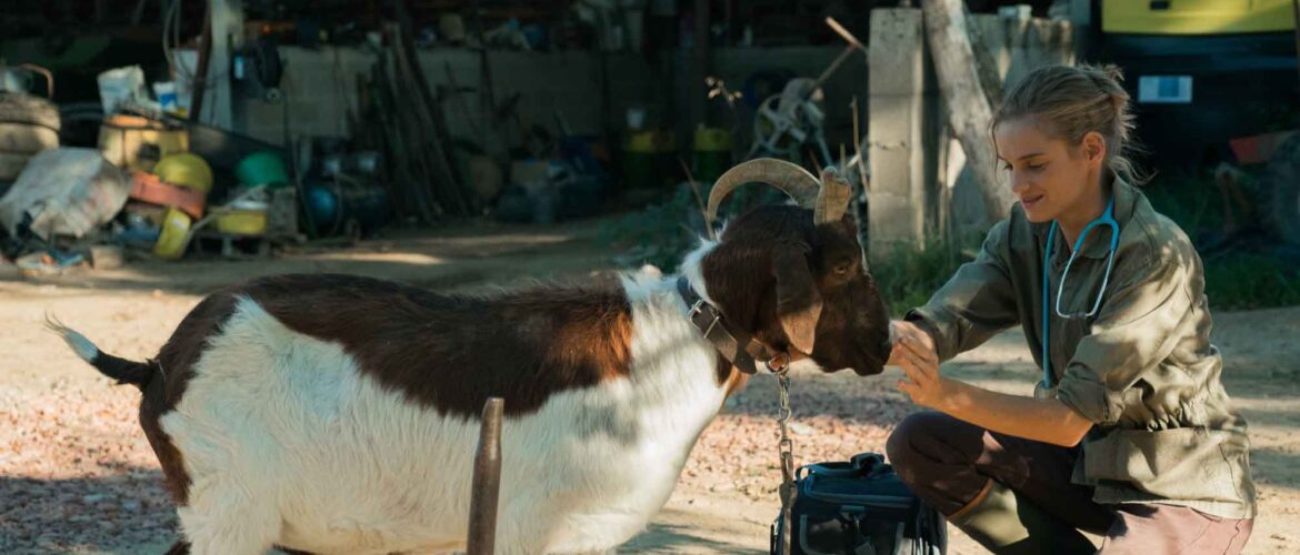 una veterinaria en la borgoña