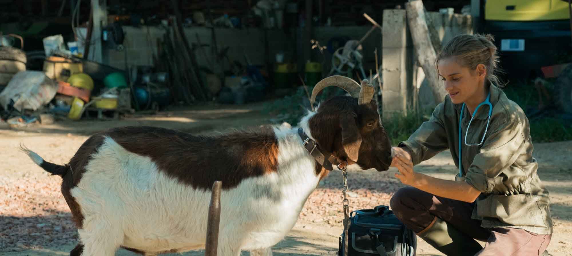 una veterinaria en la borgoña