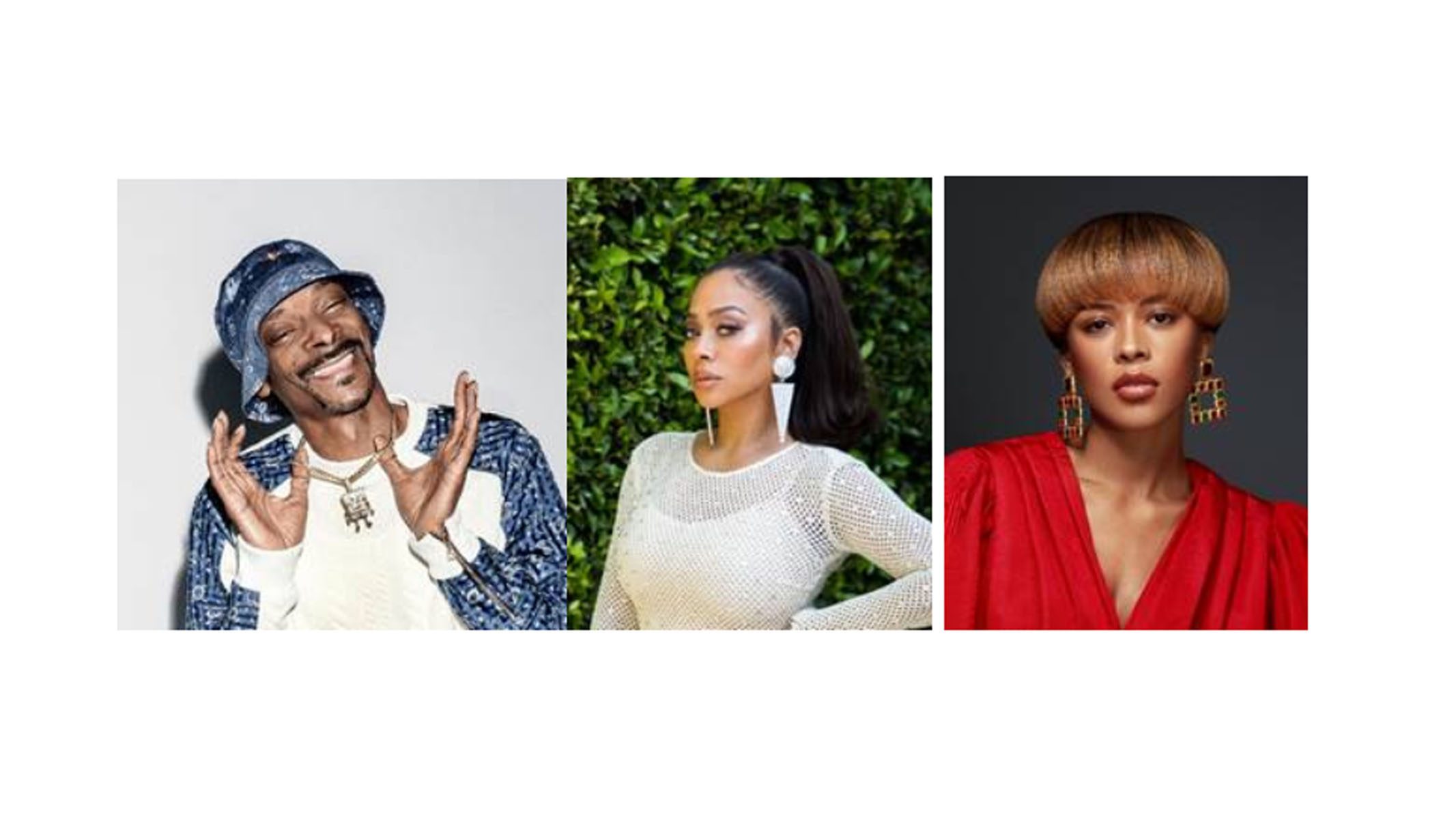 Snoop Dogg Black Mafia Family