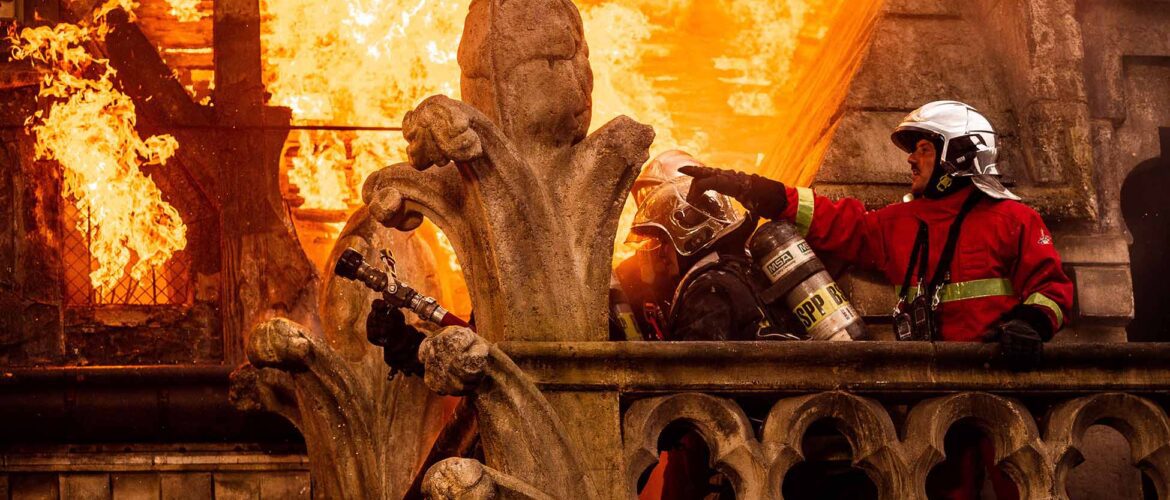 ardo Notre dame