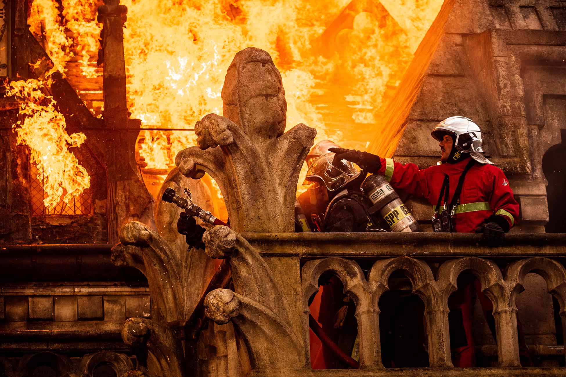 ardo Notre dame