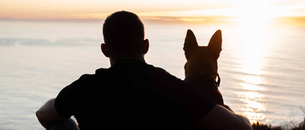 Dog. un viaje salvaje