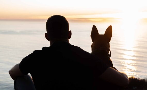 Dog. un viaje salvaje