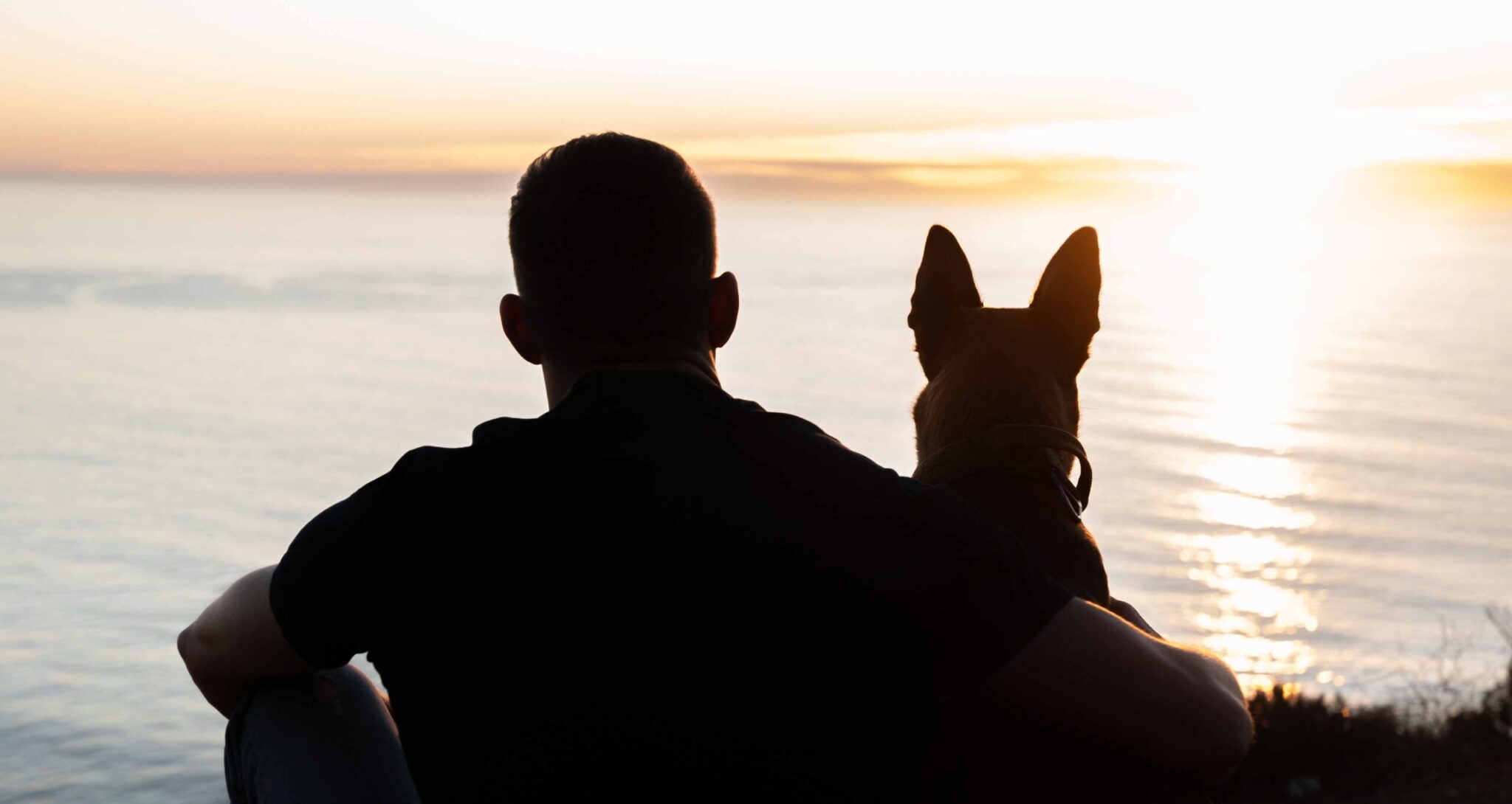 Dog. un viaje salvaje