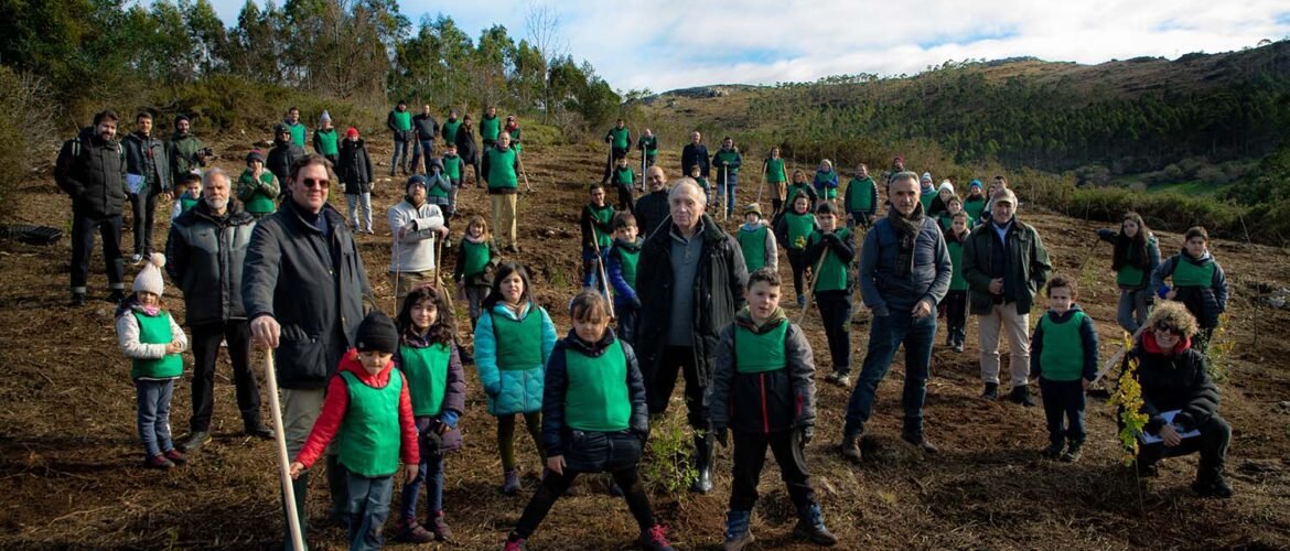 bosques de cine