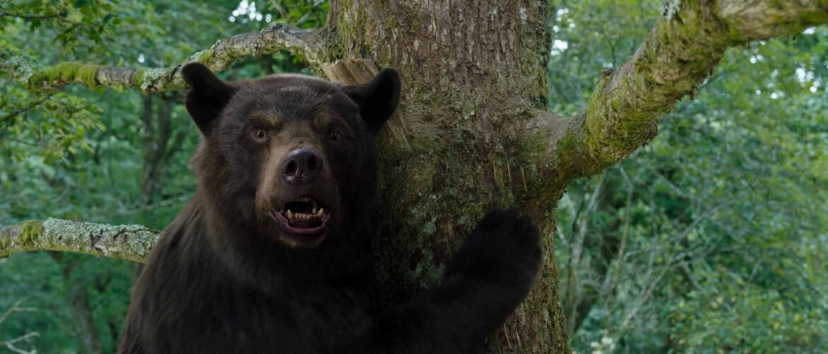 Oso vicioso cocaine bear oso intoxicado