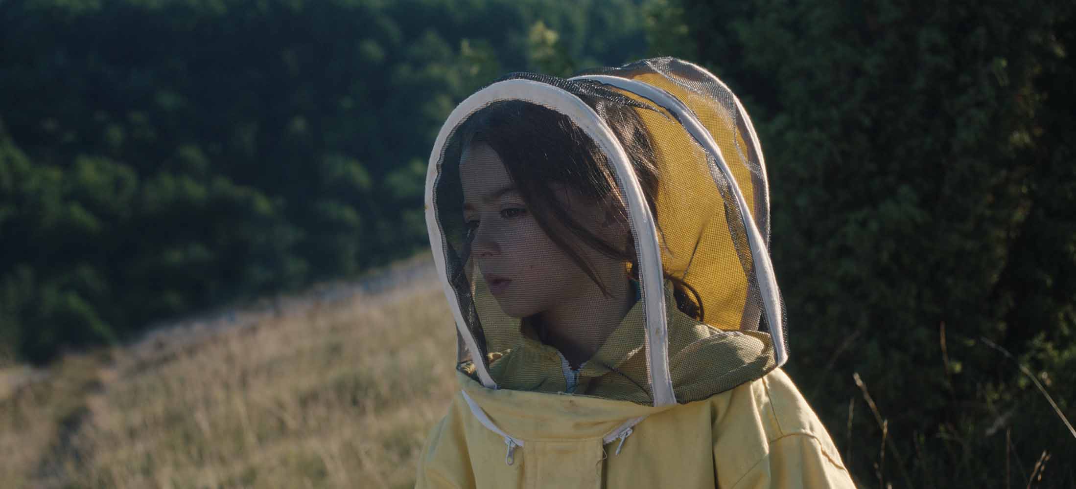 20.000 especies de abejas