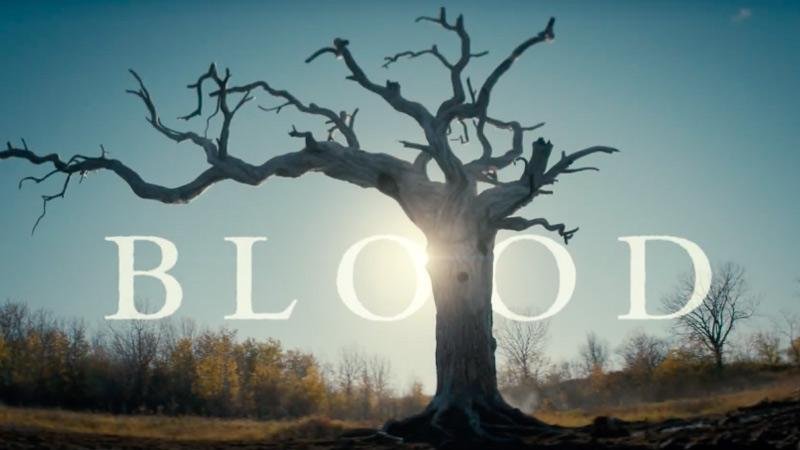 blood top