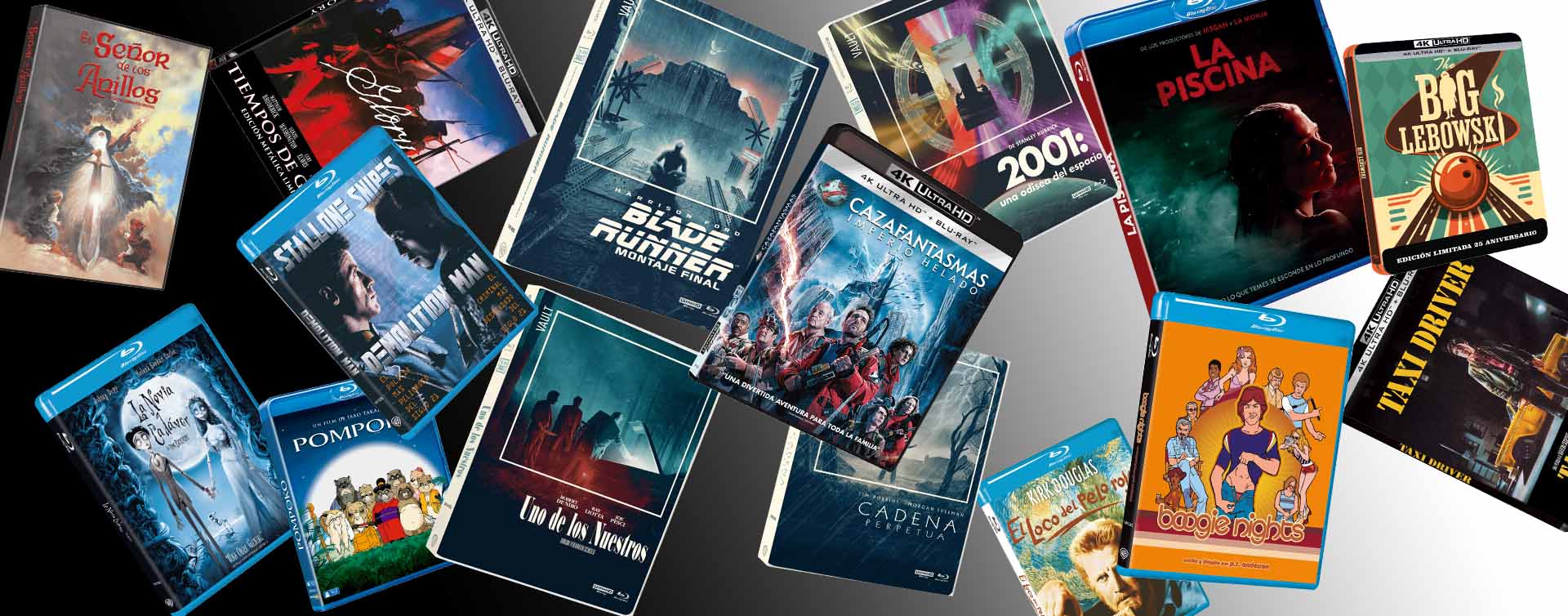 arvi licensing junio 2024