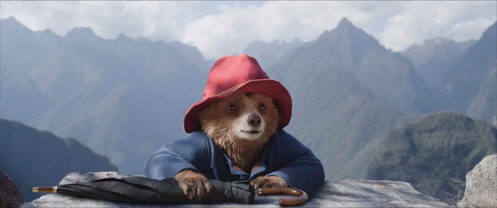 PADDINGTON AVENTURA EN LA SELVA