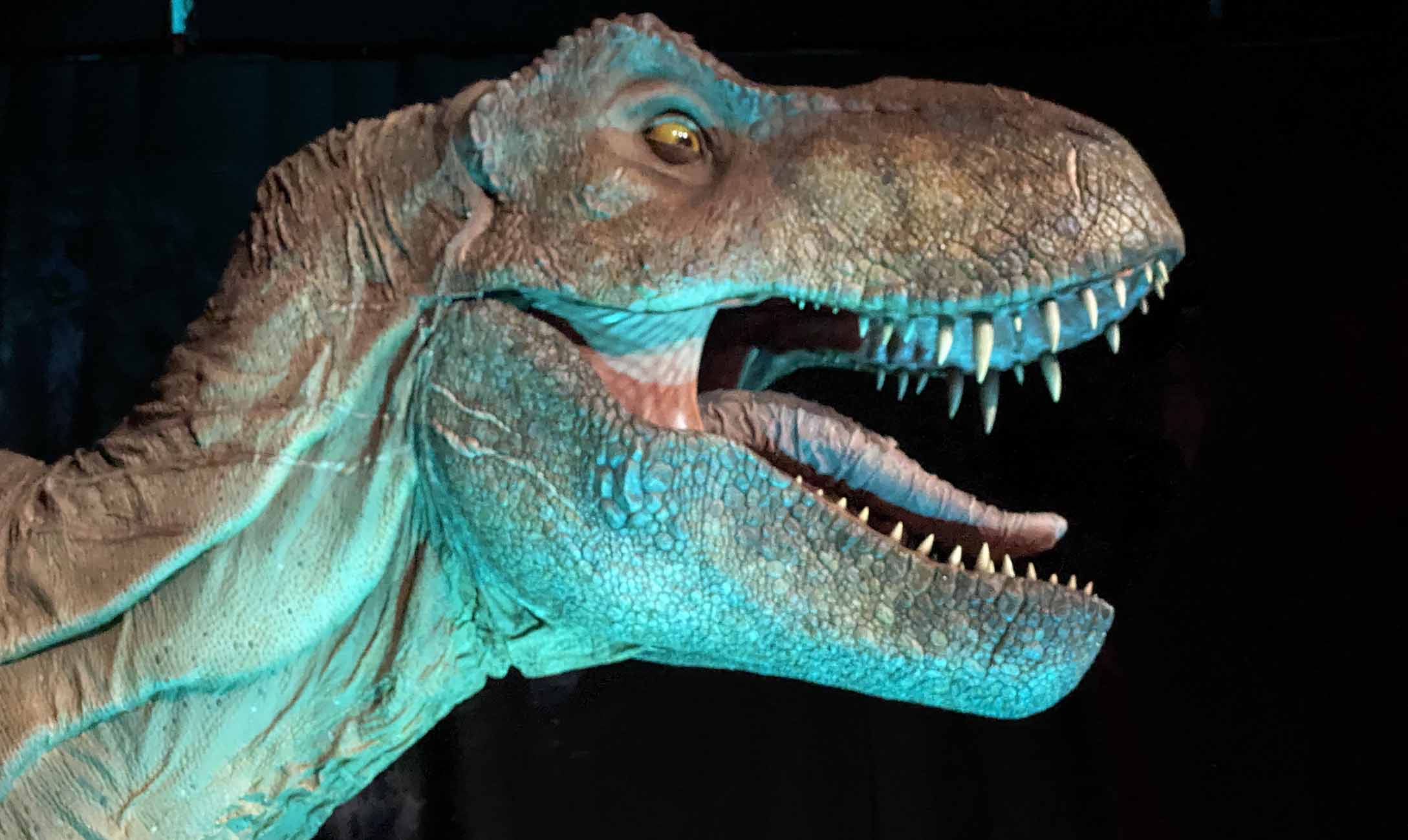 Jurassic world the experience