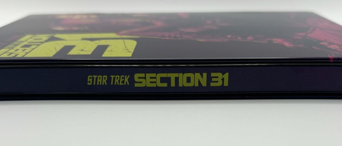 sección 31