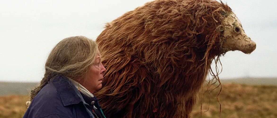a bear remembers