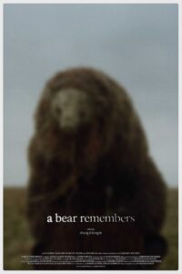 a bear remembers