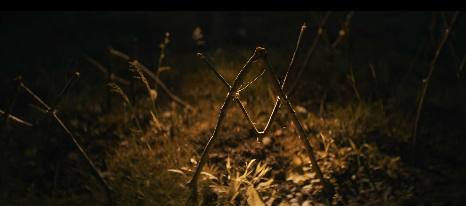 la maldición de Shelby Oaks