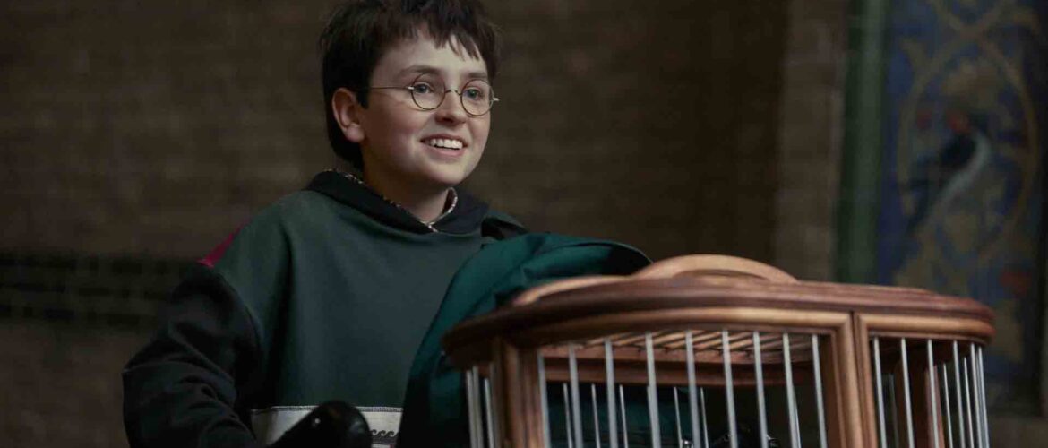 harry potter y la piedra filosofal