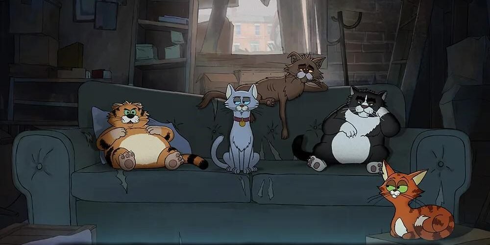 gatos callejeros