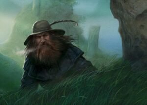 Tom bombadil the lord of the rings